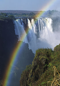 Victoria Falls by Danita Delimont
