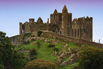 Ruins of the Rock of Cashel cathedral and fortress by Danita Delimont