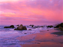 Sea stacks at dawn by Danita Delimont