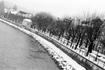 The bank of the River Salzach in winter by Danita Delimont