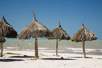 Thatch palapa made from Mexican palm leaves on the beach of the port town of Progreso on the Gulf of Mexico by Danita Delimont