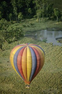 Hot-air balloon at dawn by Danita Delimont