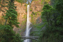 542 foot waterfall von Danita Delimont