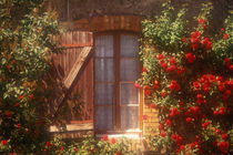 House with summer roses in bloom by Danita Delimont