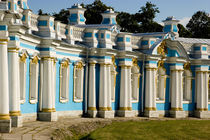 Portion of Catherine Palace by Danita Delimont
