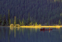 Two boys paddling canoe on Waterfowl Lake by Danita Delimont