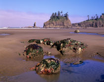 Second Beach with tidepools and seastacks by Danita Delimont