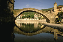 Il Ponte Vecchio & Nervia River reflection by Danita Delimont