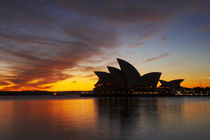 Sydney Opera House at Dawn by Danita Delimont