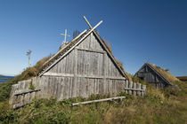 Replica of Norse church by Danita Delimont