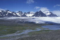 View across the Lucas Glacier to Mount Ashley from Salisbury Plain by Danita Delimont