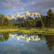 Grand Teton Mountains reflecting in the Snake River by Danita Delimont