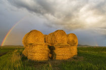 Briiliant rainbow over hay bales along the Judith Mountain Range near Lewistown Montana von Danita Delimont
