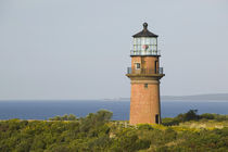 The 1844 Gay Head Lighthouse von Danita Delimont