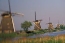 Kinderdijk windmills by Danita Delimont
