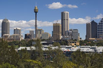 Sydney skyline by Danita Delimont