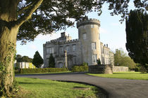 Dromoland Castle side entrance with no people framed by tree branches von Danita Delimont