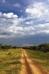 Tanzania by Danita Delimont