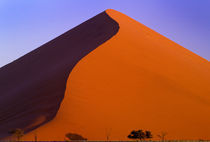 Sand dunes von Danita Delimont