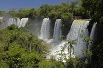 Iguacu Falls in sun by Danita Delimont