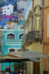 Densely packed assortment of multicolored buildings up a hillside by Danita Delimont