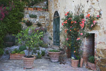 Potted plants decorate a patio in a Tuscany village von Danita Delimont