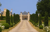 The road lined with bushes leading up to the gate Saint Emilion Bordeaux Gironde Aquitaine France von Danita Delimont