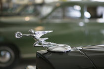 1940s Packard Hood Ornament von Danita Delimont