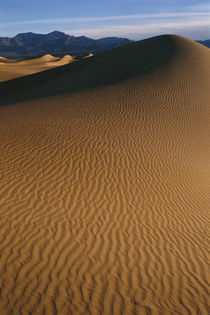 Mesquite Flat Sand Dunes by Danita Delimont