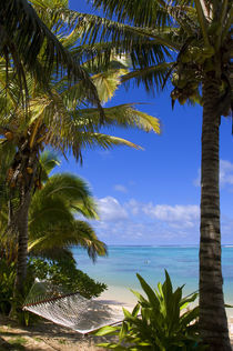 Palm lined beach Cook Islands by Danita Delimont