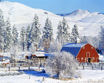 Barns in winter by Danita Delimont