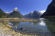 Fiordland von Danita Delimont