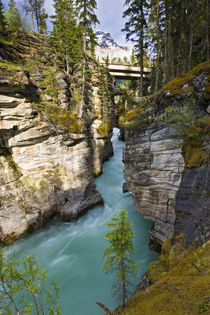 Athabasca Falls by Danita Delimont