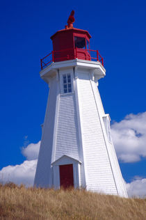Mulholland lighthouse von Danita Delimont