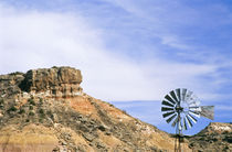 Texas Windmill and cliffs of Palo Duro Canyon State Park by Danita Delimont
