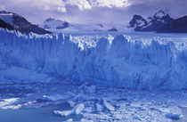 Ice in Lago Argentino von Danita Delimont