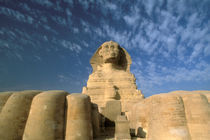 Sphinx von Danita Delimont
