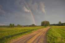 Country road and rainbow by Danita Delimont