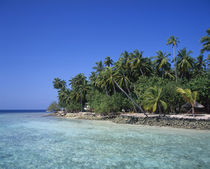 Maldives von Danita Delimont