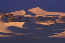 Mesquite Flat Sand Dunes by Danita Delimont
