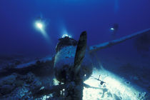 Divers inspecting WWII Japanese Jake Seaplane von Danita Delimont