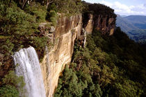 Fitzroy Falls by Danita Delimont