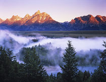 The Grand Tetons seen from the Snake River Overlook at dawn by Danita Delimont