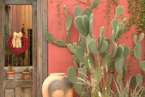 Tucson: Presidio Historic District House Detail by Danita Delimont