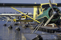 Seaplanes docked on Lake Washington in Kenmore area by Danita Delimont