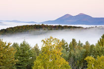 New Hampshire by Danita Delimont