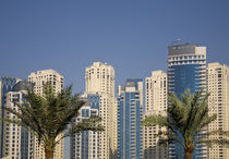 Towers of Jumeirah Beach Residence with two palm trees in front by Danita Delimont