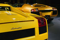 Lamborghini Sportscars by Danita Delimont