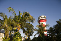 Setting sun lights lighthouse exterior and palm trees at Our Lucaya Resort by Danita Delimont