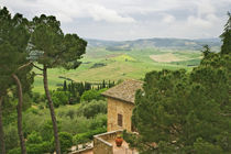 View of the Tuscany countryside by Danita Delimont